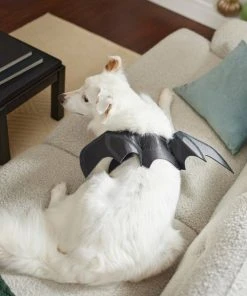 Frisco Bat Wings Dog & Cat Costume -PetNest Shop 261113 PT8. SY630 V1624400379