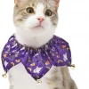 Frisco Spooky Halloween Cat Collar Ruffle, One Size -PetNest Shop 261118 MAIN. SY630 V1624338513