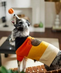 Frisco Colorblock Sequin Pumpkin Dog & Cat Sweater -PetNest Shop 261141 PT8. SY630 V1624461130
