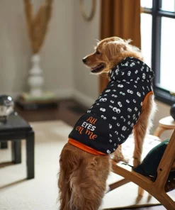 Frisco Glow in the Dark "All Eyes On Me" Dog & Cat Hoodie -PetNest Shop 261155 PT8. SY630 V1624337335