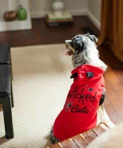 Frisco Wicked Cute Dog & Cat Hoodie 15 Frisco Wicked Cute Dog & Cat Hoodie -PetNest Shop 261158 PT8. SY630 V1624398178