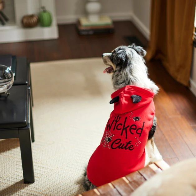 Frisco Wicked Cute Dog & Cat Hoodie 9 Frisco Wicked Cute Dog & Cat Hoodie - Image 7