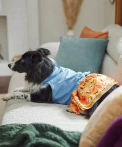 Frisco Chambray Halloween Dog & Cat Dress -PetNest Shop 261165 PT5. SY630 V1633067792