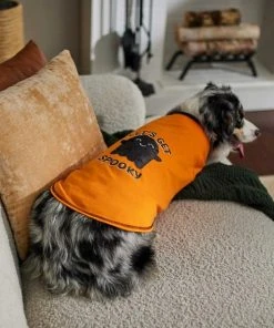 Frisco Sequin Let's Get Spooky Dog & Cat T-Shirt -PetNest Shop 261179 PT5. SY630 V1637676402