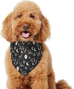 Frisco Glow in the Dark Mystical Print Dog & Cat Bandana -PetNest Shop 261218 PT3. SY630 V1633068720