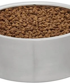 Frisco Insulated Non-Skid Flair Stainless Steel Dog & Cat Bowl, Stainless Steel -PetNest Shop 261753 PT2. SY630 V1623937563