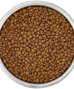 Frisco Insulated Non-Skid Flair Stainless Steel Dog & Cat Bowl, Stainless Steel -PetNest Shop 261753 PT4. SY630 V1623937583