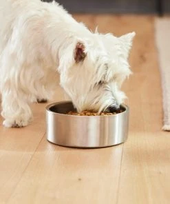 Frisco Insulated Non-Skid Flair Stainless Steel Dog & Cat Bowl, Stainless Steel -PetNest Shop 261753 PT5. SY630 V1623937469