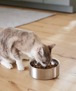 Frisco Insulated Non-Skid Flair Stainless Steel Dog & Cat Bowl, Stainless Steel -PetNest Shop 261753 PT7. SY630 V1623937560