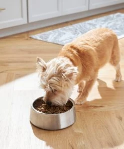 Frisco Insulated Non-Skid Stainless Steel Dog & Cat Bowl, Stainless Steel -PetNest Shop 261756 PT5. SY630 V1623937574