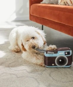 Frisco Road Trip Camera Plush with Rope Squeaky Dog Toy -PetNest Shop 261988 PT3. SY630 V1618598705