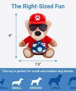 Frisco Road Trip Tourist Bear Plush Squeaky Dog Toy -PetNest Shop 261995 PT1. SY630 V1622563654