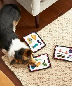 Frisco Road Trip Postcards Flat Plush Squeaky Dog Toy, 3 count -PetNest Shop 262005 PT3. SY630 V1618598296