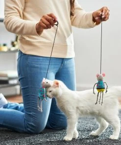 Frisco Road Trip Tourist Bouncy Mouse Cat Toy with Catnip, 2 count -PetNest Shop 262018 PT3. SY630 V1618598618