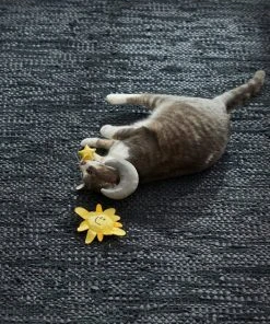 Frisco Road Trip Sun & Moon Plush Cat Toy with Catnip, 2 count -PetNest Shop 262026 PT3. SY630 V1618598570