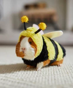 Frisco Bumble Guinea Pig Costume, One Size -PetNest Shop 262166 PT8. SY630 V1624307572