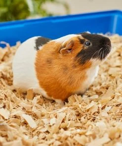 Frisco Aspen Wood Small Pet Bedding, 141-L -PetNest Shop 263936 PT5. SY630 V1625586334