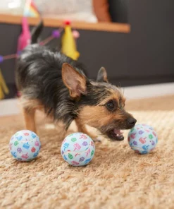 Frisco Birthday Tennis Ball Squeaky Dog Toy, 3 count -PetNest Shop 264419 PT3. SY630 V1619474144