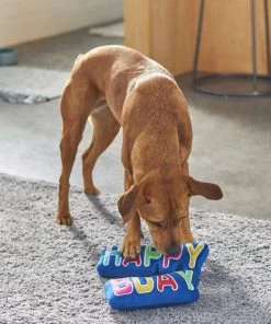 Frisco Happy Birthday Plush Dog Toy 7 Frisco Happy Birthday Plush Dog Toy -PetNest Shop 264428 PT3. SY630 V1619474117