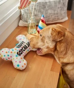 Frisco Birthday Reversible Plush Bone Squeaky Dog Toy 9 Frisco Birthday Reversible Plush Bone Squeaky Dog Toy -PetNest Shop 264432 PT3. SY630 V1619474112