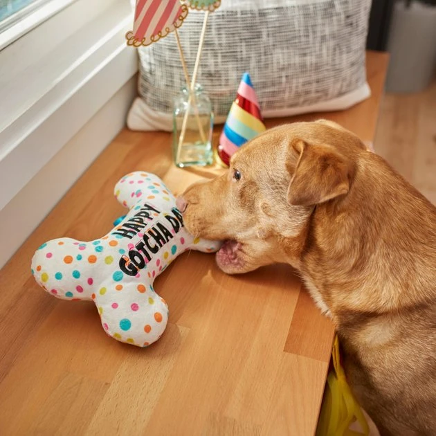 Frisco Birthday Reversible Plush Bone Squeaky Dog Toy 6 Frisco Birthday Reversible Plush Bone Squeaky Dog Toy - Image 4