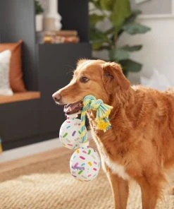 Frisco Birthday Balloon Bouquet Plush with Rope Squeaky Dog Toy -PetNest Shop 264440 PT3. SY630 V1619474100