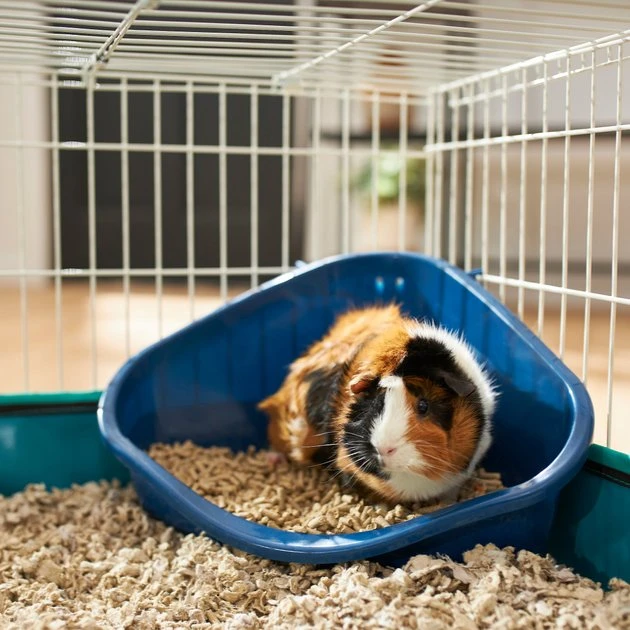 Frisco Corner Small Pet Litter Box 3 Frisco Corner Small Pet Litter Box