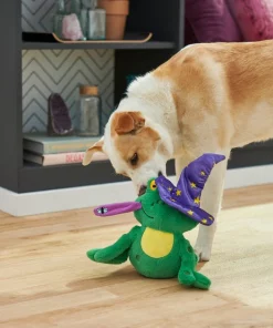 Frisco Magic Wizard Frog Plush Squeaky Dog Toy -PetNest Shop 265588 PT3. SY630 V1620939075