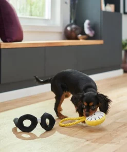 Frisco Magic Pocket Watch & Glasses Plush Squeaky Dog Toy, 2 count -PetNest Shop 265590 PT3. SY630 V1620938935