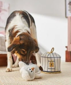 Frisco Magic Owl & Cage 2-in-1 Plush Squeaky Dog Toy -PetNest Shop 265592 PT3. SY630 V1620938916