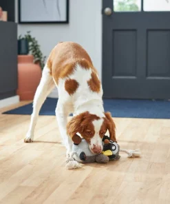 Frisco Magic Owl Plush with Rope Squeaky Dog Toy -PetNest Shop 265594 PT3. SY630 V1620939104