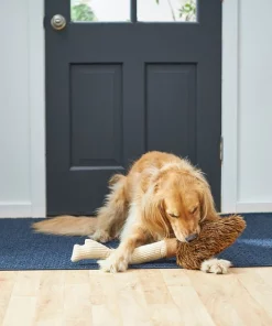 Frisco Magic Broom Plush Squeaky Dog Toy 7 Frisco Magic Broom Plush Squeaky Dog Toy -PetNest Shop 265598 PT3. SY630 V1620938980