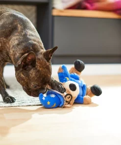 Frisco Magic Wizard Bear Plush Squeaky Dog Toy -PetNest Shop 265604 PT3. SY630 V1623352109