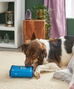 Frisco Magic Spell Book Plush Squeaky Dog Toy 7 Frisco Magic Spell Book Plush Squeaky Dog Toy -PetNest Shop 265608 PT3. SY630 V1620939089