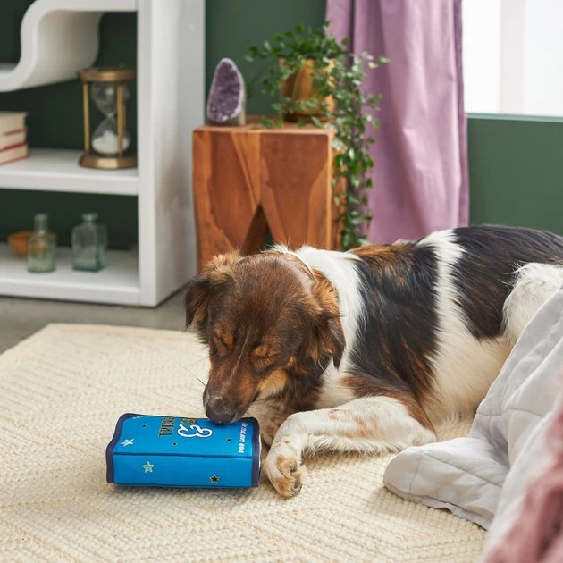 Frisco Magic Spell Book Plush Squeaky Dog Toy 5 Frisco Magic Spell Book Plush Squeaky Dog Toy - Image 3