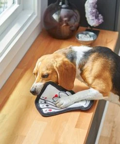 Frisco Magic Lucky Aces Flat Plush Squeaky Dog Toy -PetNest Shop 265612 PT3. SY630 V1620938989