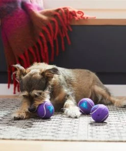 Frisco Magic Fortune Fetch Squeaky Tennis Ball Dog Toy, 3 count -PetNest Shop 265620 PT3. SY630 V1623352072