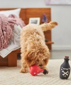 Frisco Magic Potions Latex Squeaky Dog Toy, 2 count -PetNest Shop 265632 PT3. SY630 V1620939021