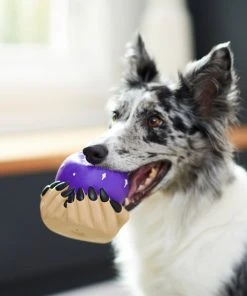 Frisco Magic Fortune Teller's Crystal Ball Latex Squeaky Dog Toy 7 Frisco Magic Fortune Teller's Crystal Ball Latex Squeaky Dog Toy -PetNest Shop 265634 PT3. SY630 V1623352126