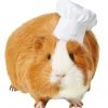 Frisco Chef Guinea Pig Costume Hat, One Size -PetNest Shop 265887 MAIN. SY630 V1624307870
