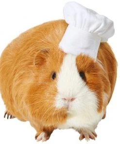 Frisco Chef Guinea Pig Costume Hat, One Size