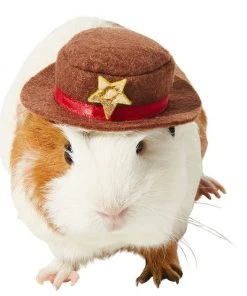 Frisco Cowboy Guinea Pig Costume Hat, One Size