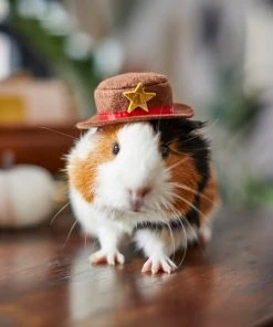 Frisco Cowboy Guinea Pig Costume Hat, One Size -PetNest Shop 265889 PT8. SY630 V1624454639