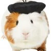 Frisco French Beret Guinea Pig Costume Hat, One Size -PetNest Shop 265891 MAIN. SY630 V1624305182
