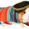Frisco Serape Guinea Pig Costume, One Size 1 Frisco Serape Guinea Pig Costume, One Size -PetNest Shop 265895 MAIN. SY630 V1624304603