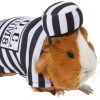 Frisco Prisoner Guinea Pig Costume, One Size -PetNest Shop 265897 MAIN. SY630 V1624304868