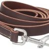 Frisco Top Grain Leather Leash -PetNest Shop 266521 MAIN. SY630 V1618855319