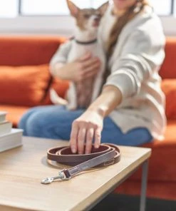 Frisco Top Grain Leather Leash -PetNest Shop 266521 PT3. SY630 V1619536628