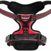 Frisco Padded Reflective Harness -PetNest Shop 266762 MAIN. SY630 V1624548581