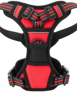 Frisco Padded Reflective Harness -PetNest Shop 266762 PT3. SY630 V1624549188